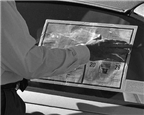 8" x 10" WHITE REMOVABLE WINDOW LABELS Thumbnail #2